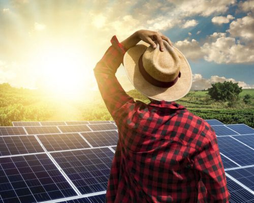 blog_aldosolar_energia-solar-no-campo-1024x587